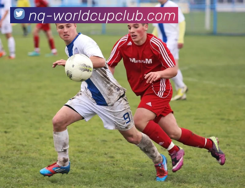 世俱杯投注官网APP 高清赛事图